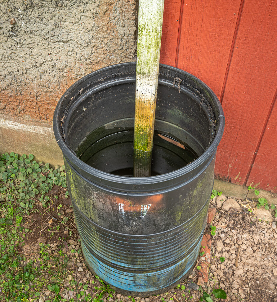 Dirty Rain Barrel