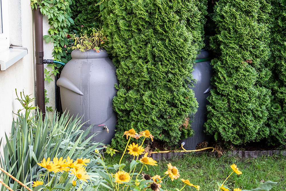 Hidden Rain Barrels