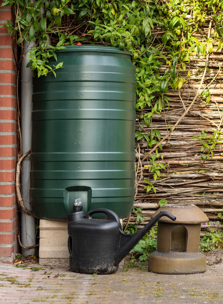 Rain Barrel