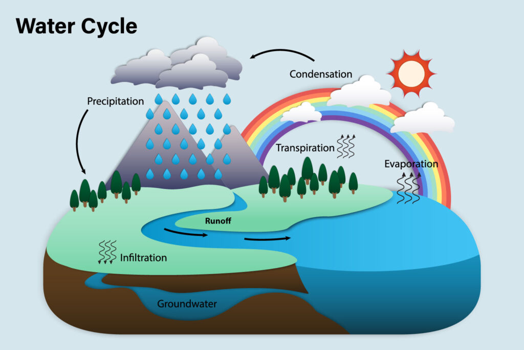 Water Cycle